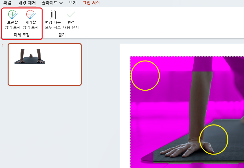 파워포인트로 사진 이미지 배경 제거하는 법 2